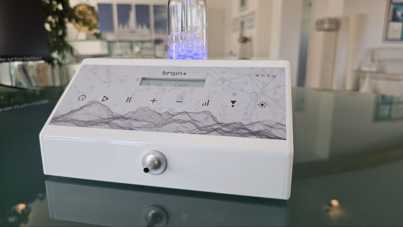 brain+ easy Standardvariante